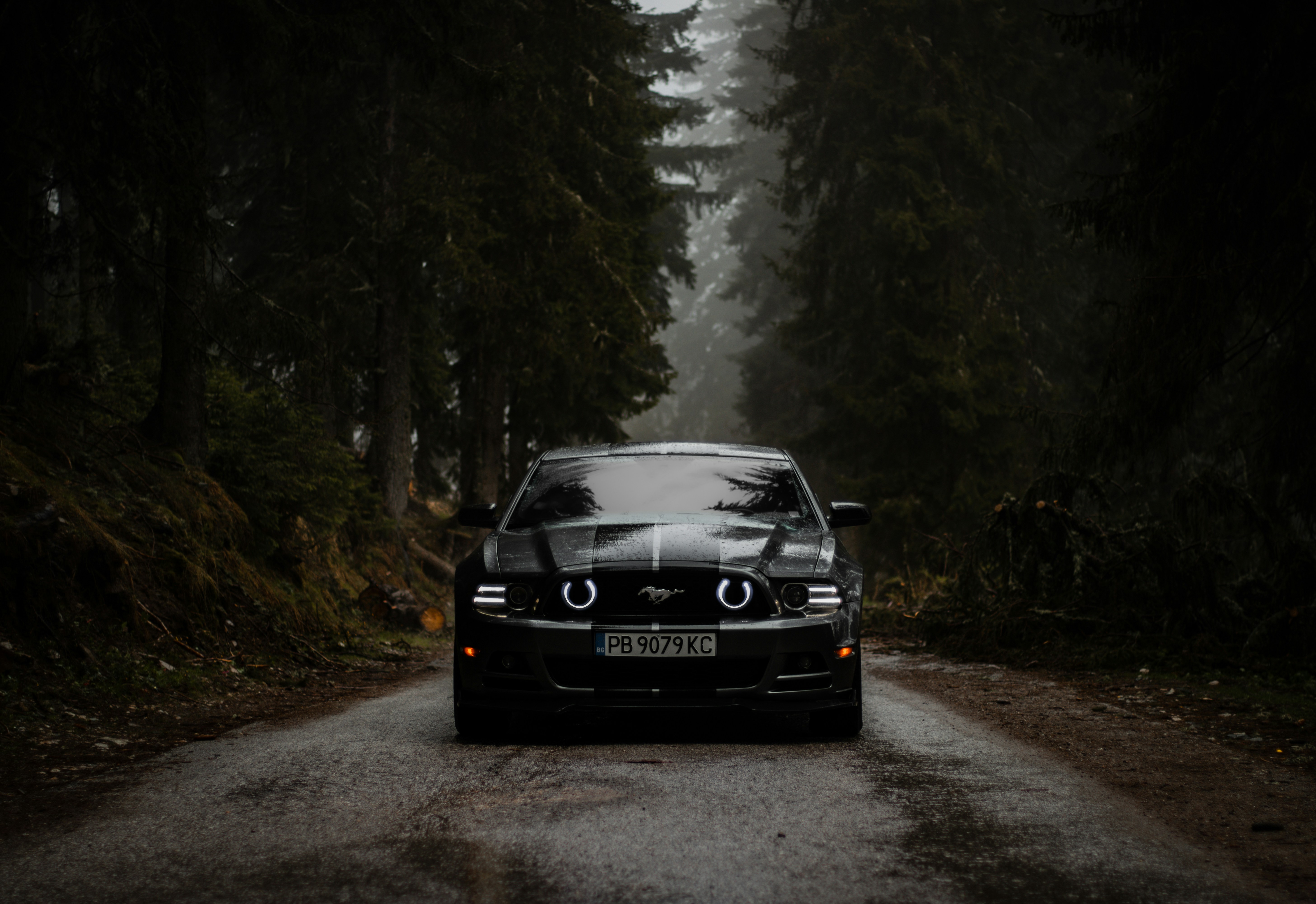 Ford Mustang GTD - Track-Focused American Muscle